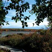 BLACK MOSHANNON STATE PARK