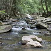 LINN RUN STATE PARK
