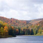 LYMAN RUN STATE PARK