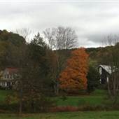 FIVE SPRINGS FARM-LANDSCAPE VIEWS