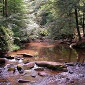 REEDS GAP STATE PARK
