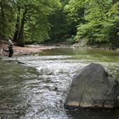 WHITE CLAY CREEK PRESERVE