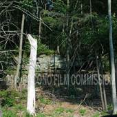 Whispering Pines Rock Formation