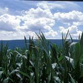JUNIATA COUNTY COUNTRYSIDE