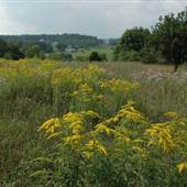 SUGAR HOLLOW CREEK FARM LANDSCAPE VIEWS