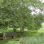 BRANDYWINE BATTLEFIELD, CHADDS FORD