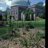 SCOTT ARBORETUM, SWARTHMORE