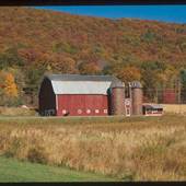 POTTER COUNTY SCENERY