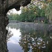 MEAD PARK & ALICE LAKE, CORRY