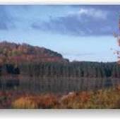 HILLS CREEK STATE PARK