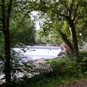 McCONNELLS MILL STATE PARK