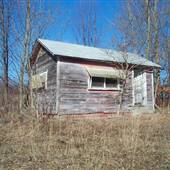 COOK FOREST STATE PARK LOG CABIN I