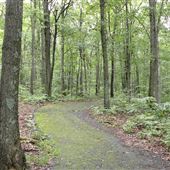 Archbald Regional Park