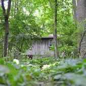 MILL CREEK FALLS RETREAT
