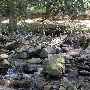 ROTHROCK TRAIL, ROTHROCK STATE FOREST
