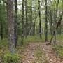 PIKE COUNTY GAME LANDS