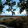 BLACK MOSHANNON STATE PARK
