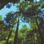 HYNER RUN STATE PARK