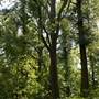 PINE GROVE FURNACE STATE PARK