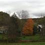 FIVE SPRINGS FARM-LANDSCAPE VIEWS