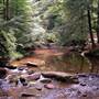 REEDS GAP STATE PARK