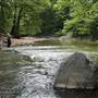 WHITE CLAY CREEK PRESERVE