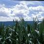 JUNIATA COUNTY COUNTRYSIDE