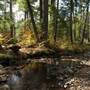 RICKETTS GLEN STATE PARK