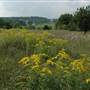 SUGAR HOLLOW CREEK FARM LANDSCAPE VIEWS