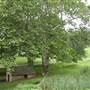 BRANDYWINE BATTLEFIELD, CHADDS FORD