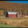 POTTER COUNTY SCENERY
