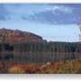 HILLS CREEK STATE PARK