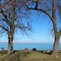 LAKESIDE CEMETERY AND GARDENS, LAKE ERIE