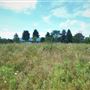 ELYSBURG, NORTHUMBERLAND COUNTY
