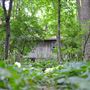 MILL CREEK FALLS RETREAT