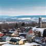 NEWFOUNDLAND, WAYNE COUNTY