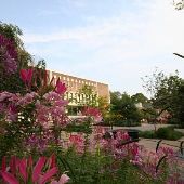 ALBRIGHT COLLEGE