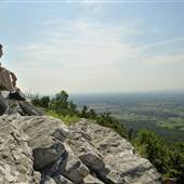 WAGGONER'S GAP, CARLISLE