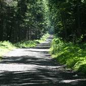 WEISER STATE FOREST