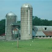 Wayne County Farm