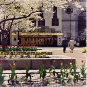 F.M. KIRBY CENTER