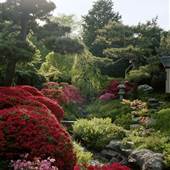 SHOFUSO JAPANESE HOUSE & GARDEN