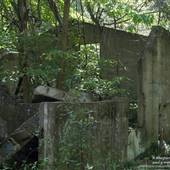 DEAD MAN'S HOLLOW, GREAT ALLEGHENY PASSAGE