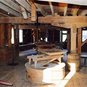 GLEN ALLEN MILL CELLAR