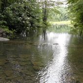 Aylesworth Park
