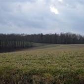 FRYBURG, CLARION COUNTY