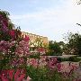 ALBRIGHT COLLEGE