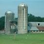 Wayne County Farm