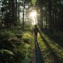 MICHAUX STATE FOREST
