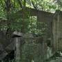 DEAD MAN'S HOLLOW, GREAT ALLEGHENY PASSAGE